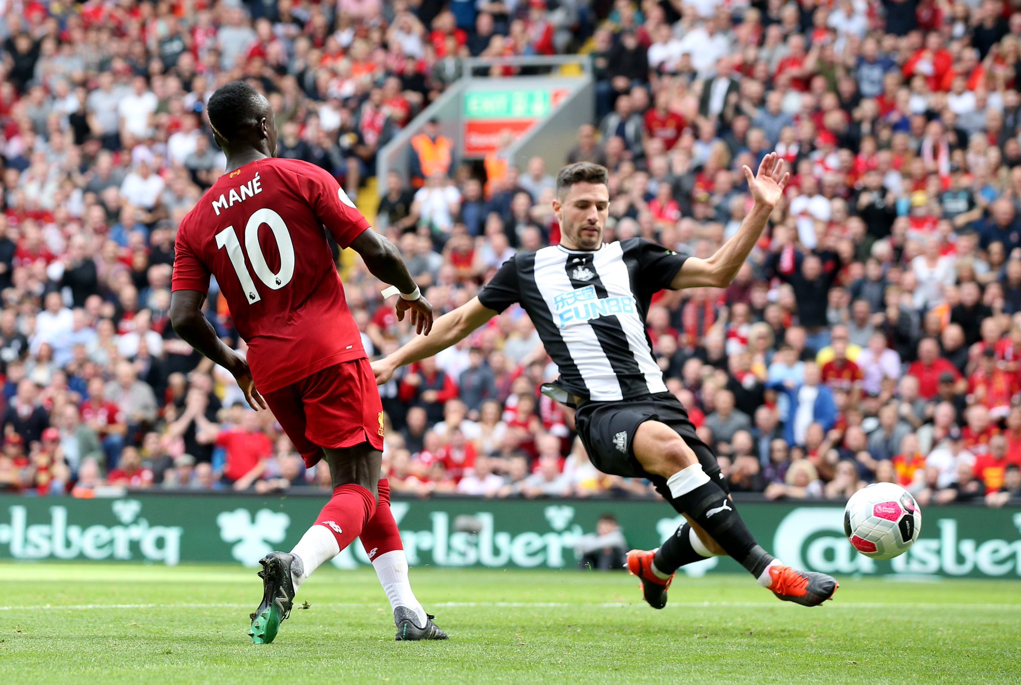 瞻性的转会 瞻性的转会